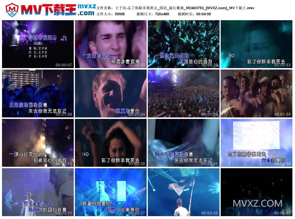 王子亮-忘了你除非我死去_国语_流行歌曲_MD403753